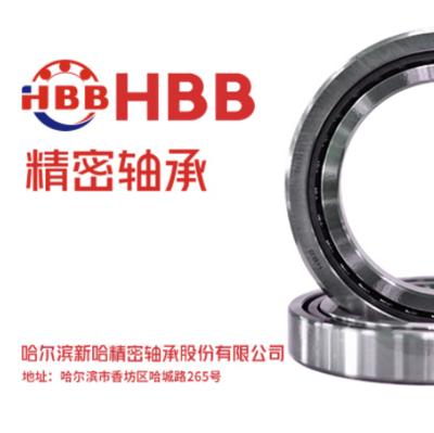  7204BTN/P4DBB 